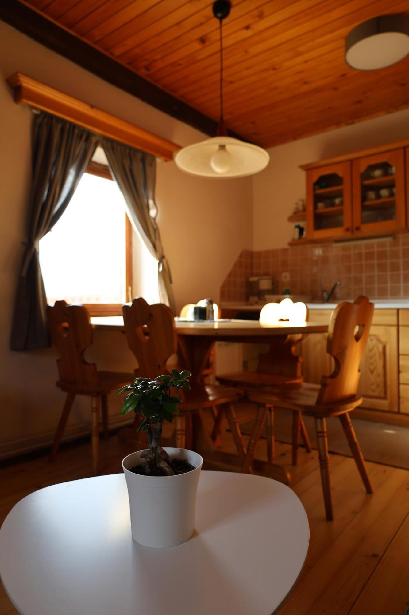 Mountain View Apartments - Pr' Potovcn'K Dovje ภายนอก รูปภาพ