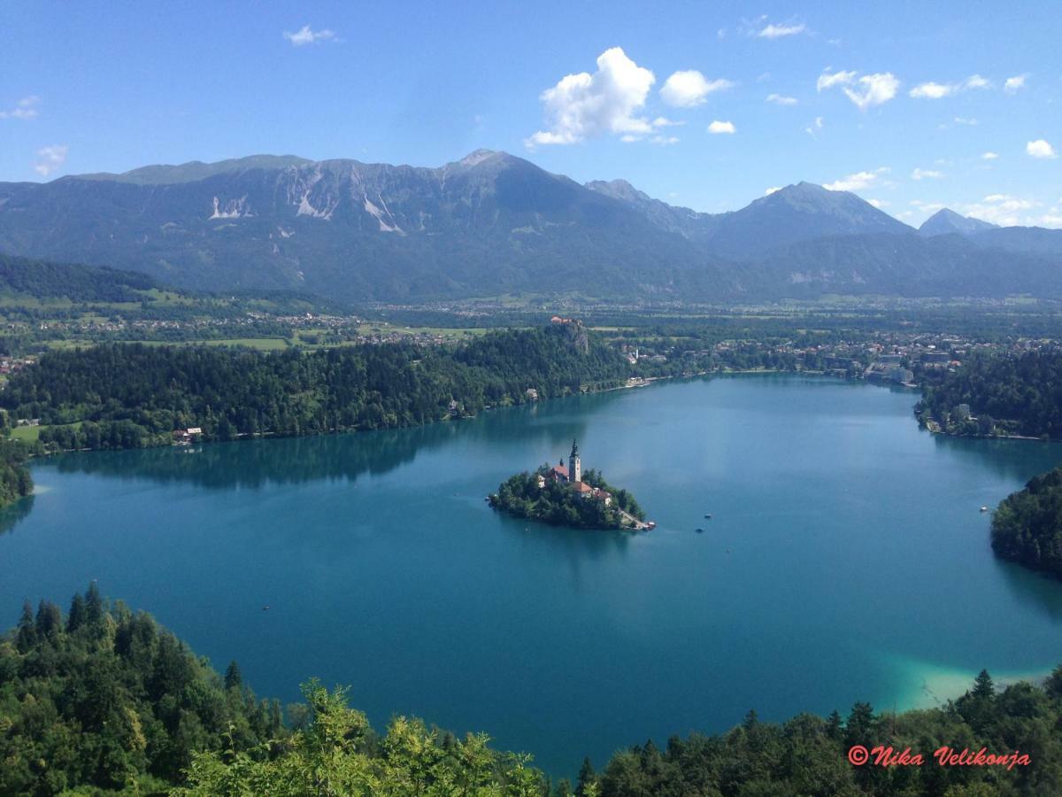 Mountain View Apartments - Pr' Potovcn'K Dovje ภายนอก รูปภาพ