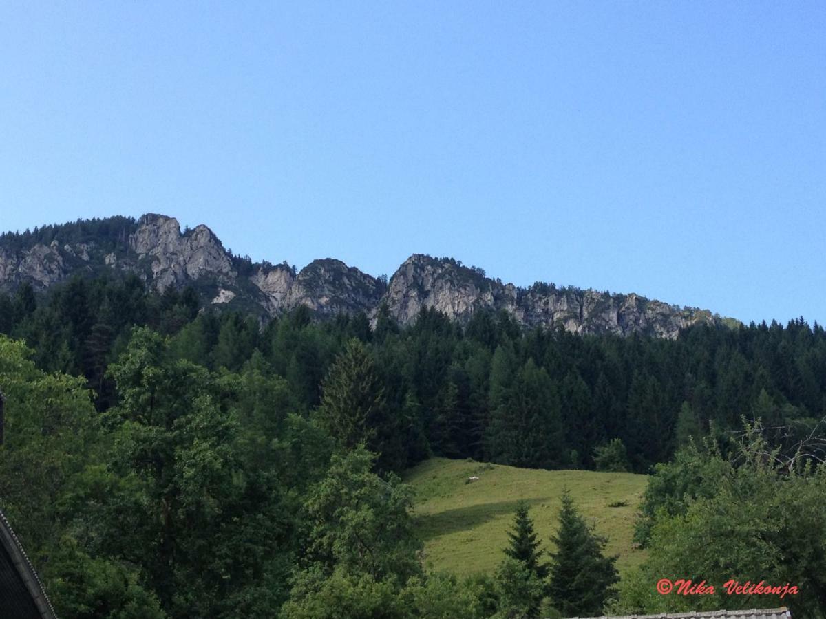 Mountain View Apartments - Pr' Potovcn'K Dovje ภายนอก รูปภาพ